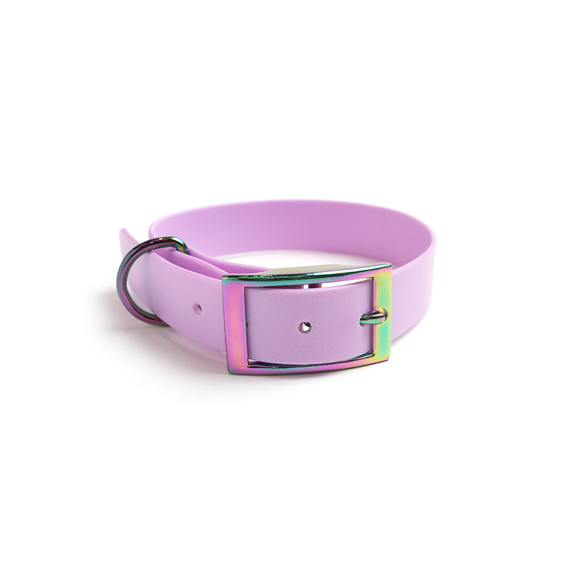 Biothane Dog Collar_Purple