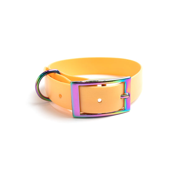 An orange dog collar with a metallic buckle, showcasing a reflective strip, and a fastener.
