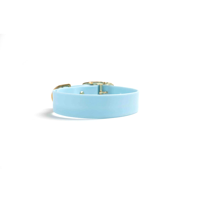 Waterproof Dog Collar Blue Biothane