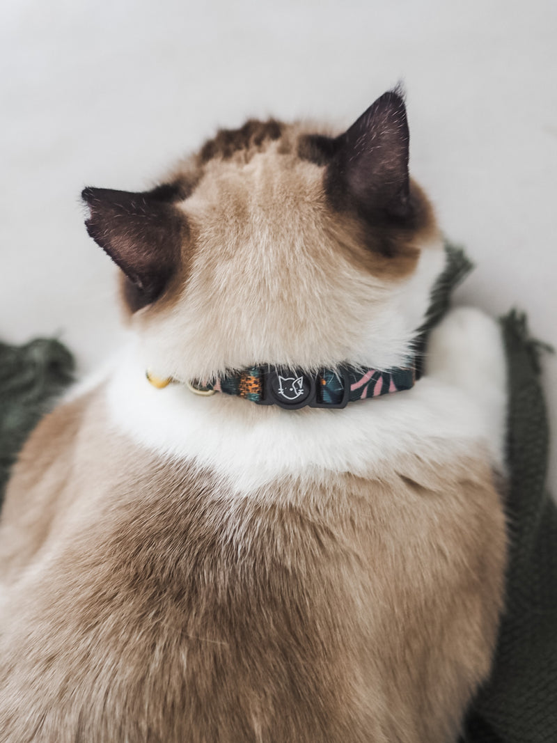 Gentle Pup-Cat Collar Coco Congo-Back