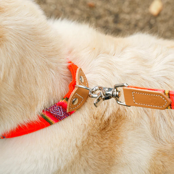 Hiro & Wolf_Inca Orange_Dog Collar-Detail