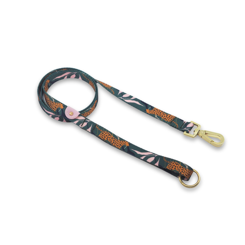 Gentle Pup-Dog Lead-Coco Congo-Large
