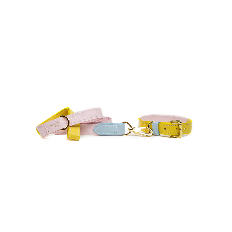 Isabel Dog Collar and Lead 
