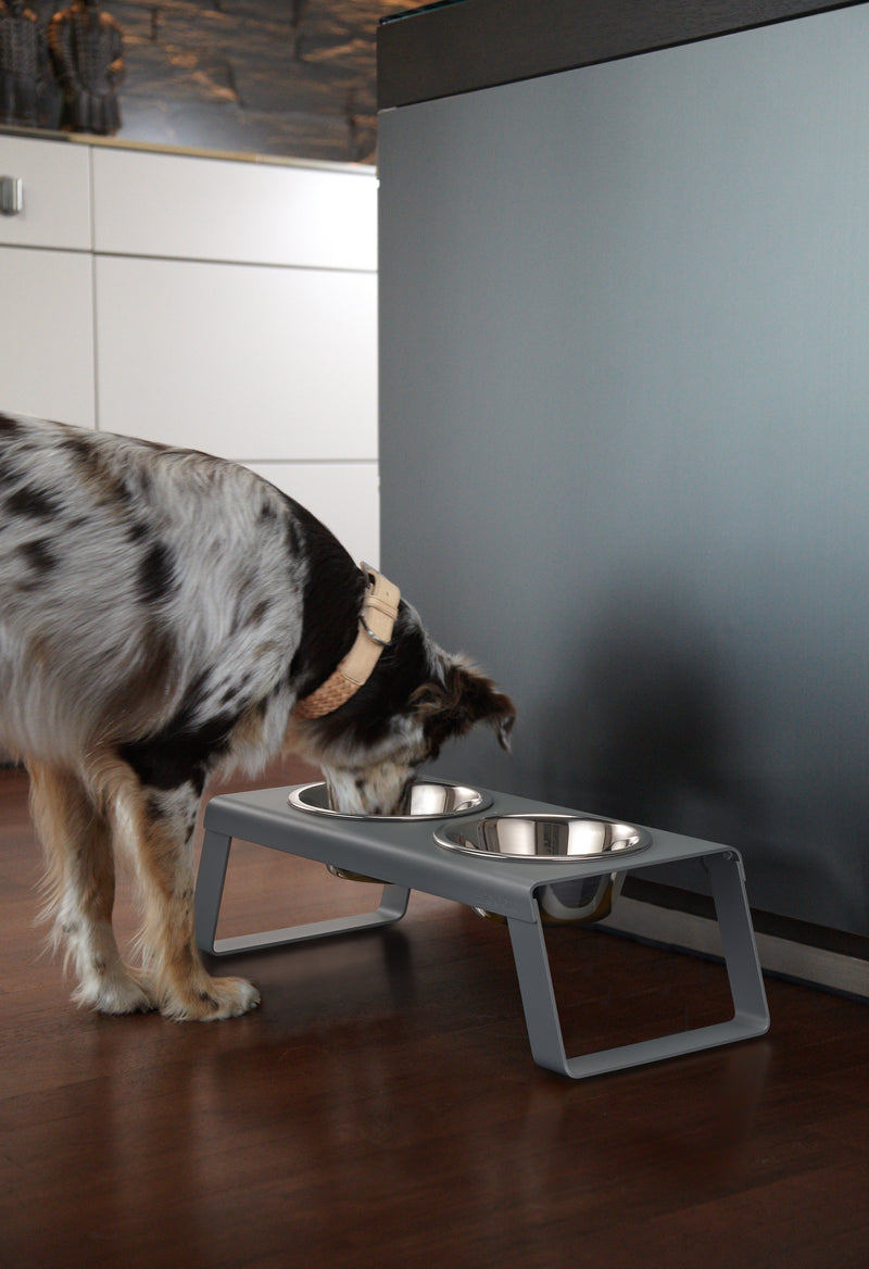 Desco Dog Feeder Grey-Lifestyle 