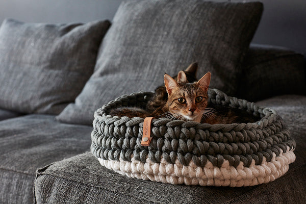 MiaCara-Nido Cat Basket-Grey-Tabby cat