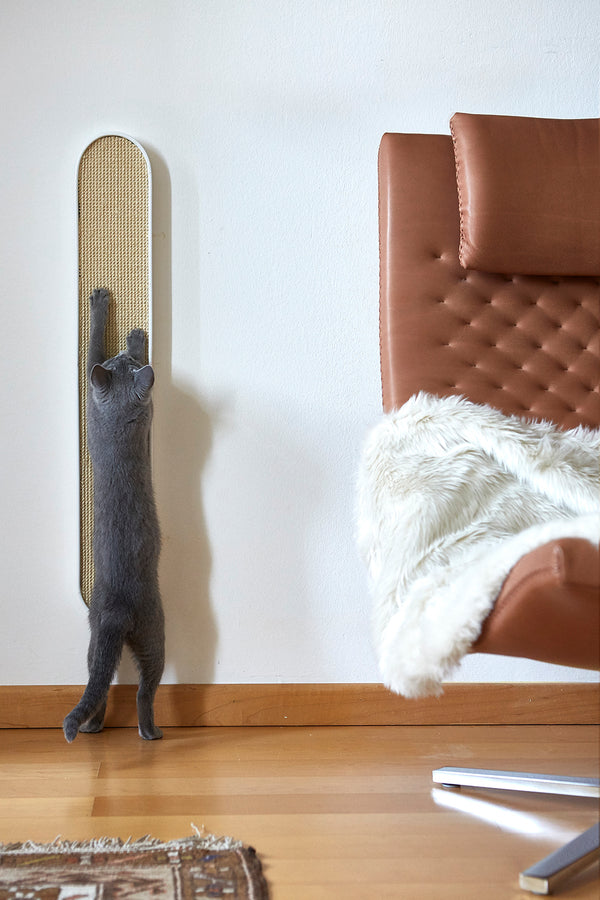 Wall mounted Cat Scratcher_Interior 