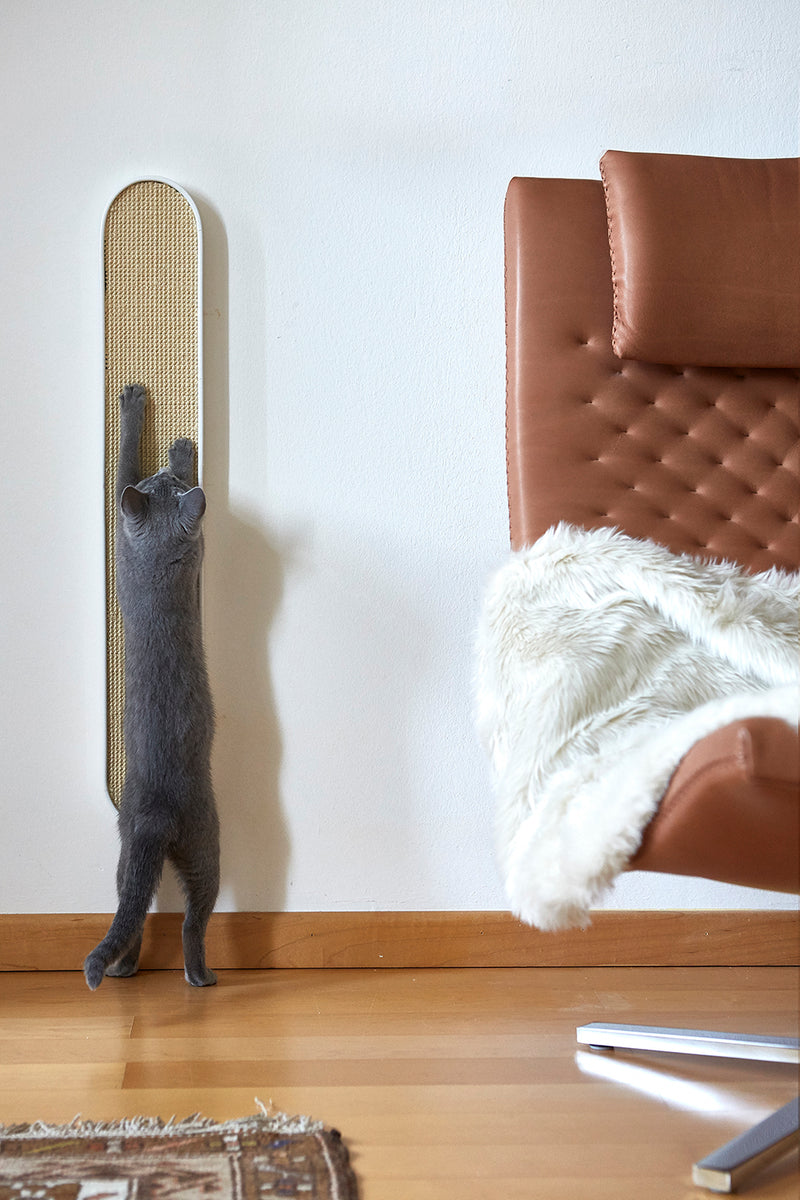 Wall mounted Cat Scratcher_Interior 