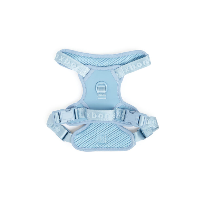 Blue easy fit harness