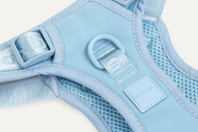 Maxbone-Easy Fit Harness_Blue_Close up 