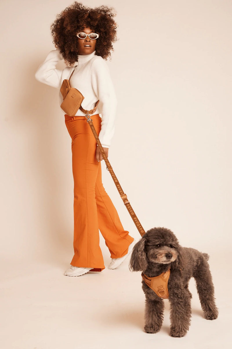 Maxbone_Easy Fit Dog Harness_Camel and Handsfree Lead