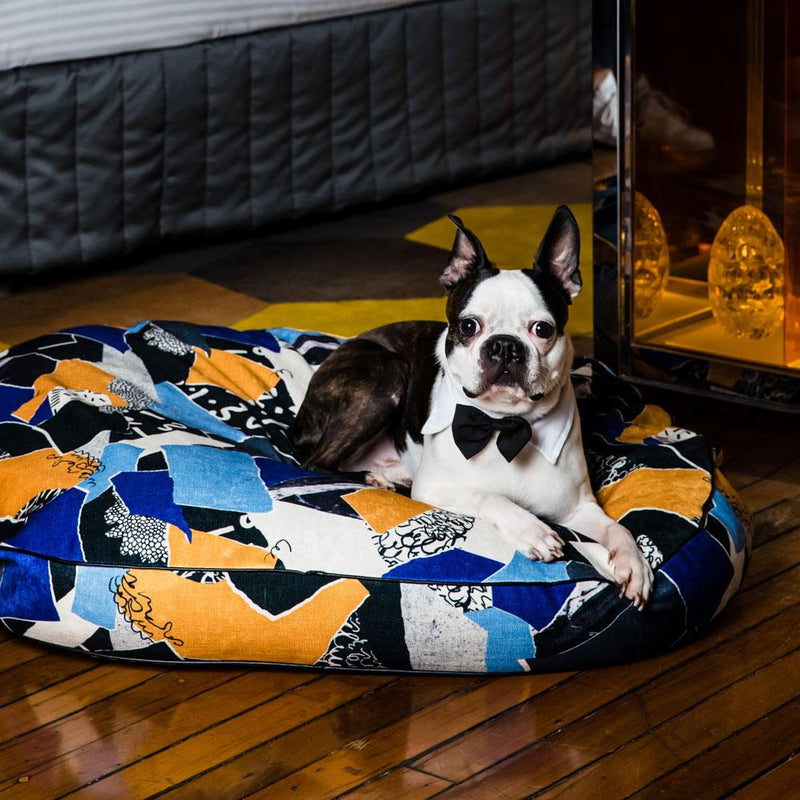 Nice Digs-out of the rubble-Dog Bed-Lifestyle