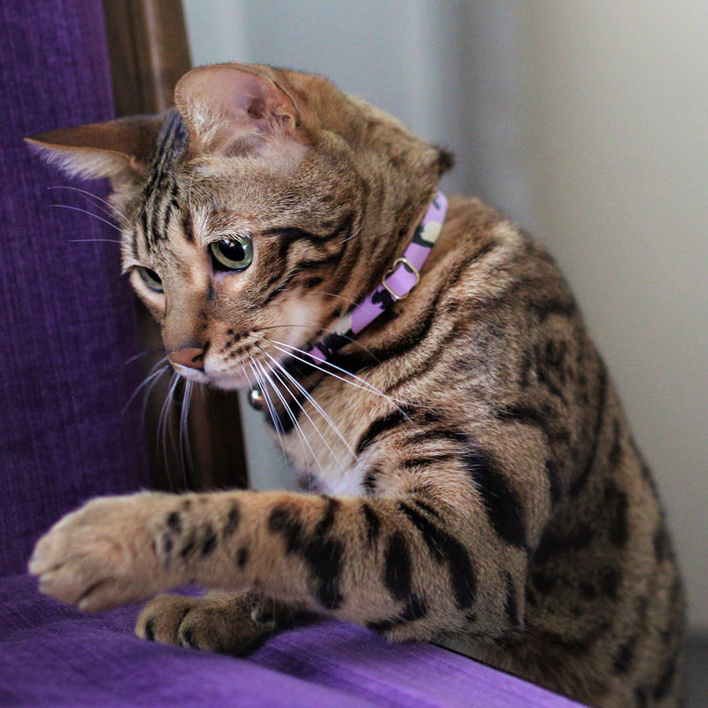 Nice Digs-Leather Cat Collar-Lilac-Animal Print-Side2