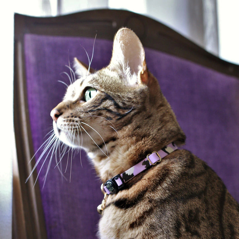 Nice Digs-Leather Cat Collar-Lilac-Animal Print-Side