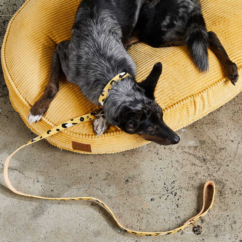 Nice Digs-Cord Dog Bed-Butter Yellow