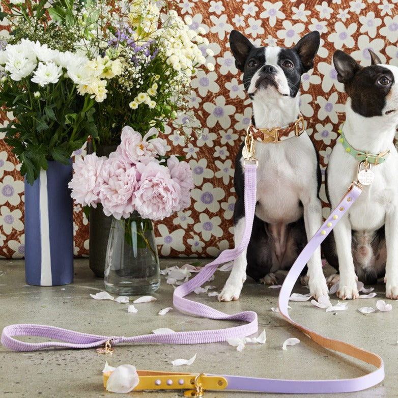 Nice Digs-Cord Lilac Dog Lead-Frenchie