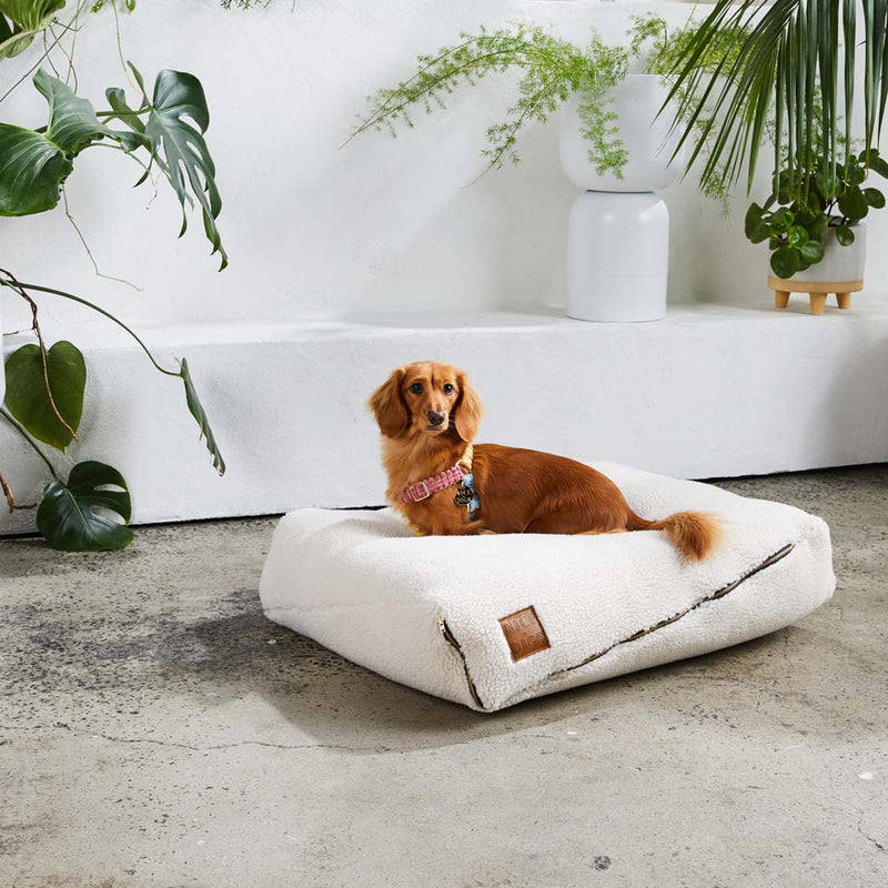 Nice Digs-Teddy Slouch Sherpa Dog Bed 