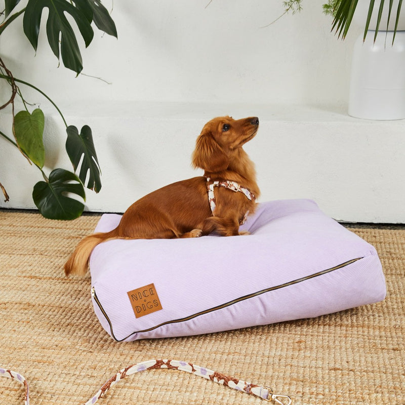 Nice Digs-Cord Slouch Dog Bed -Lilac-Dachshund