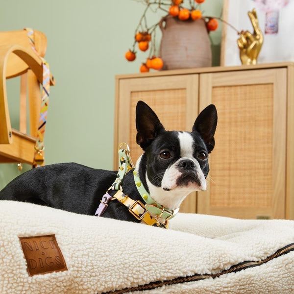 Nice Digs-Teddy Slouch Sherpa Dog Bed - Frenchie
