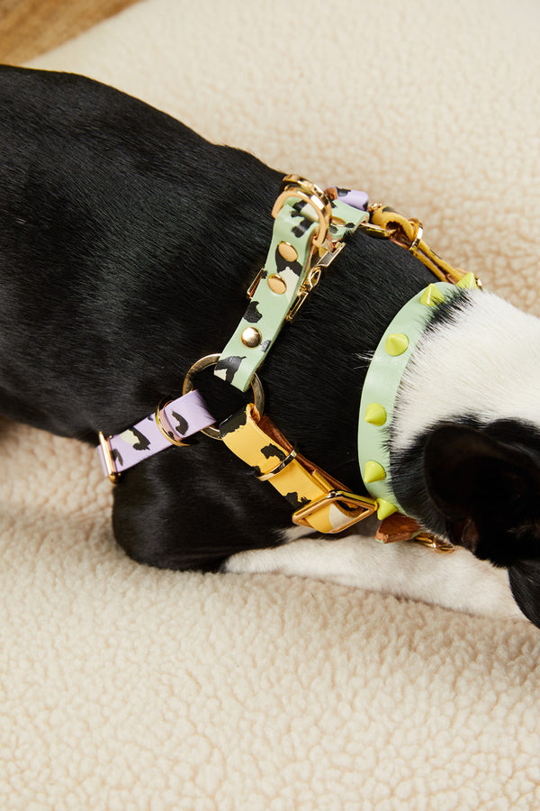 Nice Digs-Smooth Spike Leather Dog Collar-Pistachio