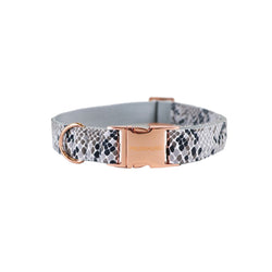 Prunkhund-Python Dog Collar