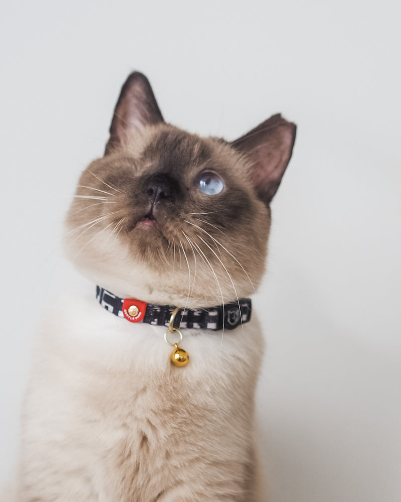 Gentle Pup-Cat Collar-Lucky Lotto-Lifestyle