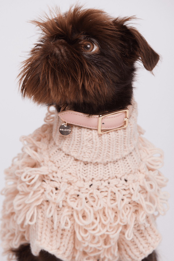 Maxbone-Coco Leather Dog Collar-Peach-Dog