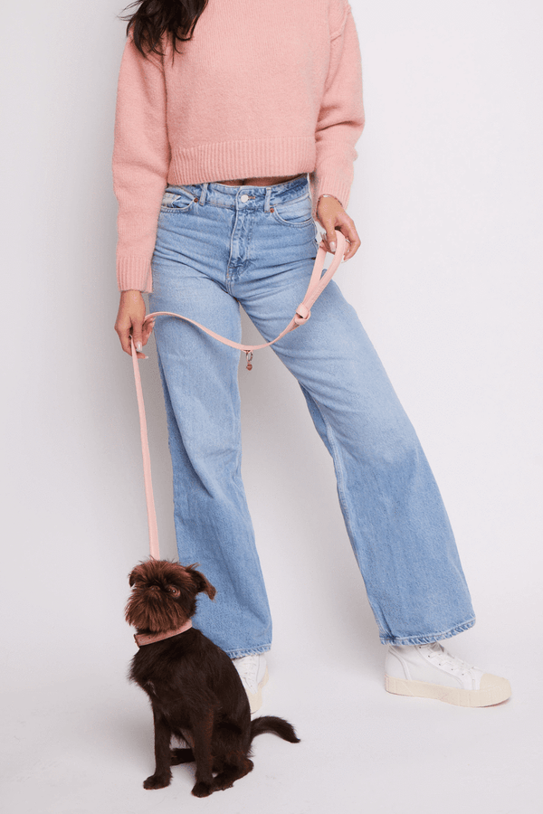 Maxbone-Coco Leather Dog Lead-Peach-Lifestyle