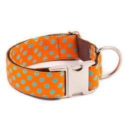 Brott-Pola Dog Collar