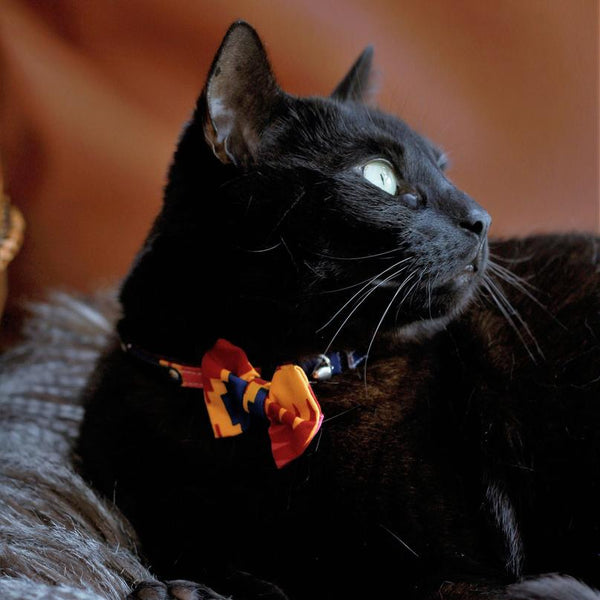 Hiro & Wolf-Cat Bow tie-Dakar-Black cat