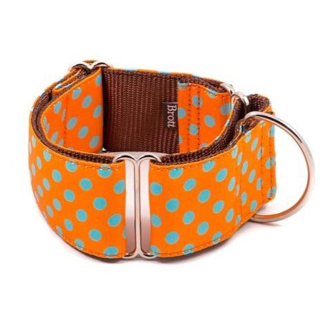 Polka dot best sale dog collars