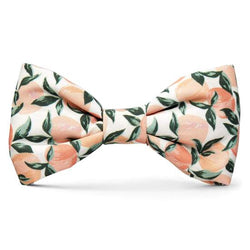The Foggy Dog-peaches and Cream Dog Bow Tie 