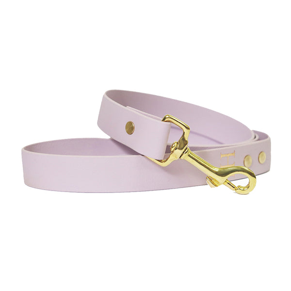 Purple Salt-Waterproof Dog Lead