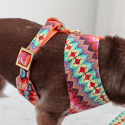 Zigzag Dog Harness (Pre-Order)